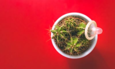 Cactus and a condom