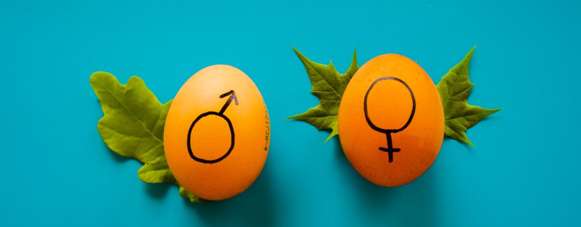 Two eggs with a male and female symbol on them.