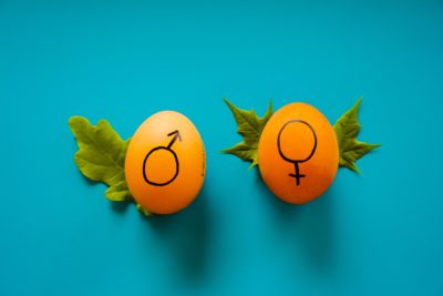 Two eggs with a male and female symbol on them.