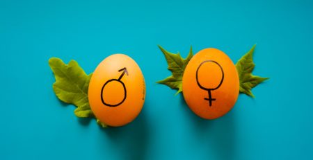 Two eggs with a male and female symbol on them.