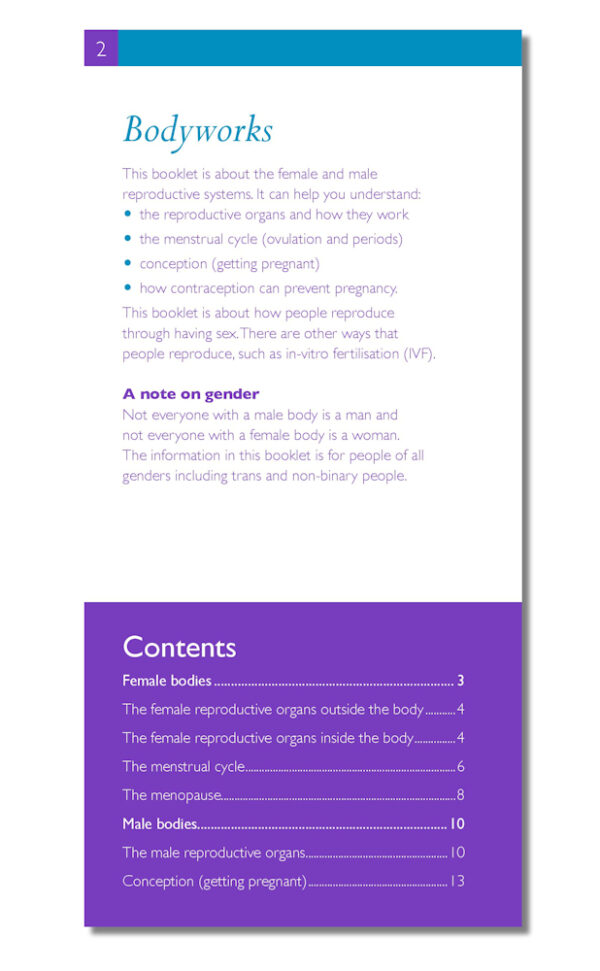 (Bodyworks) Getting Pregnant – how the body makes a baby: The FPA Guide