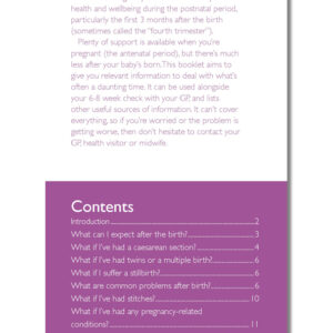 After a Baby - Your Health and Wellbeing: The FPA Guide