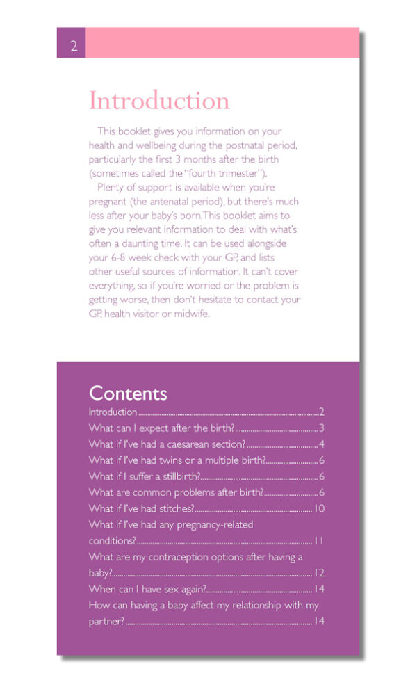 After a Baby - Your Health and Wellbeing: The FPA Guide
