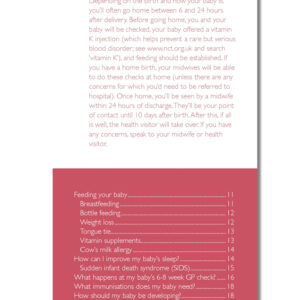 After a Baby - Your Baby's Health and Wellbeing: The FPA Guide