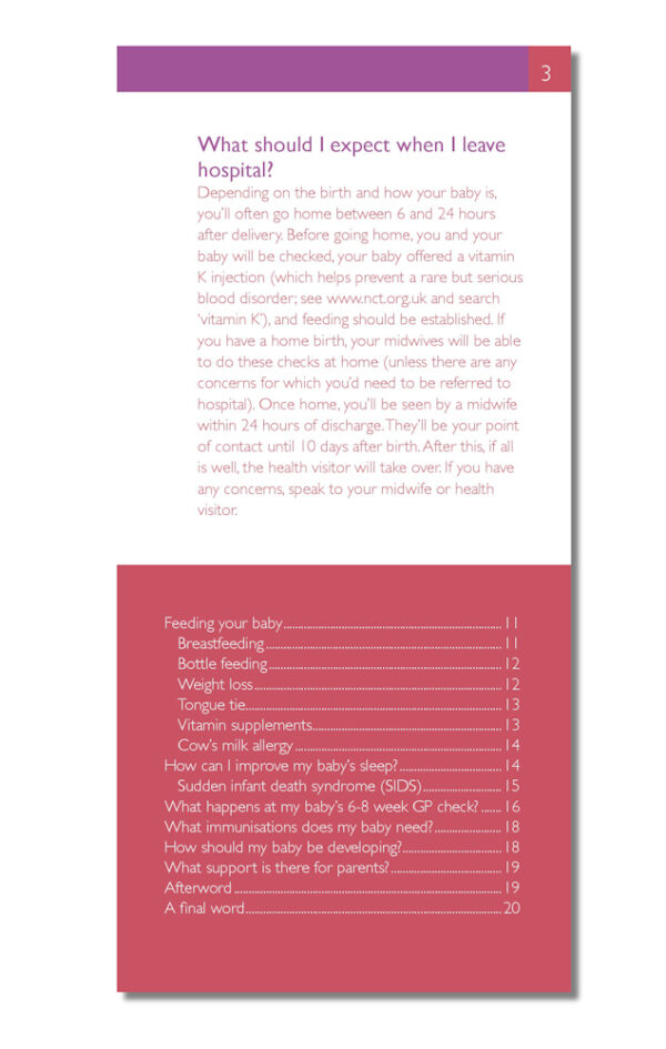 After a Baby - Your Baby's Health and Wellbeing: The FPA Guide