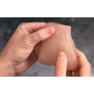 Standard testicle self-examination TSE model (Beige) - Image 2