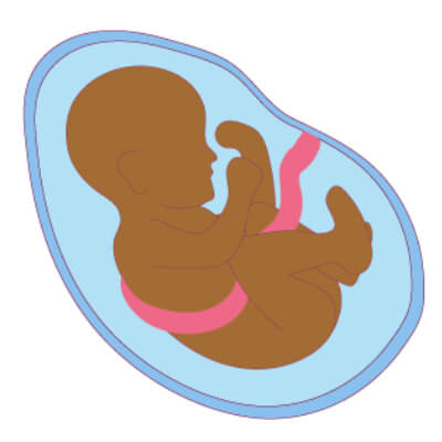 Baby in womb